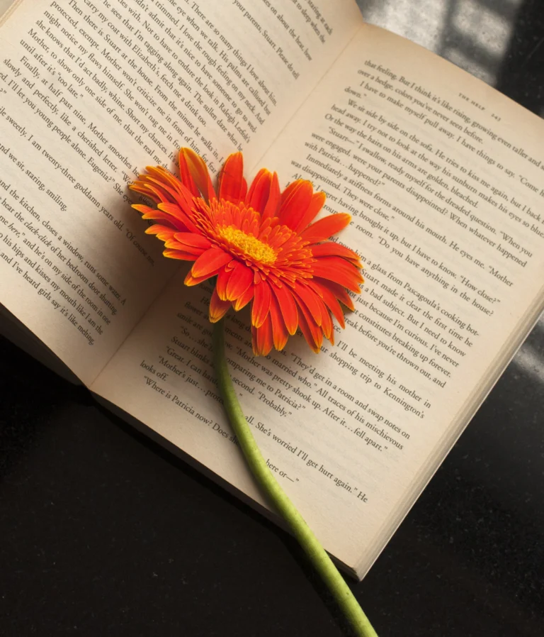 lifestyle photography (2)